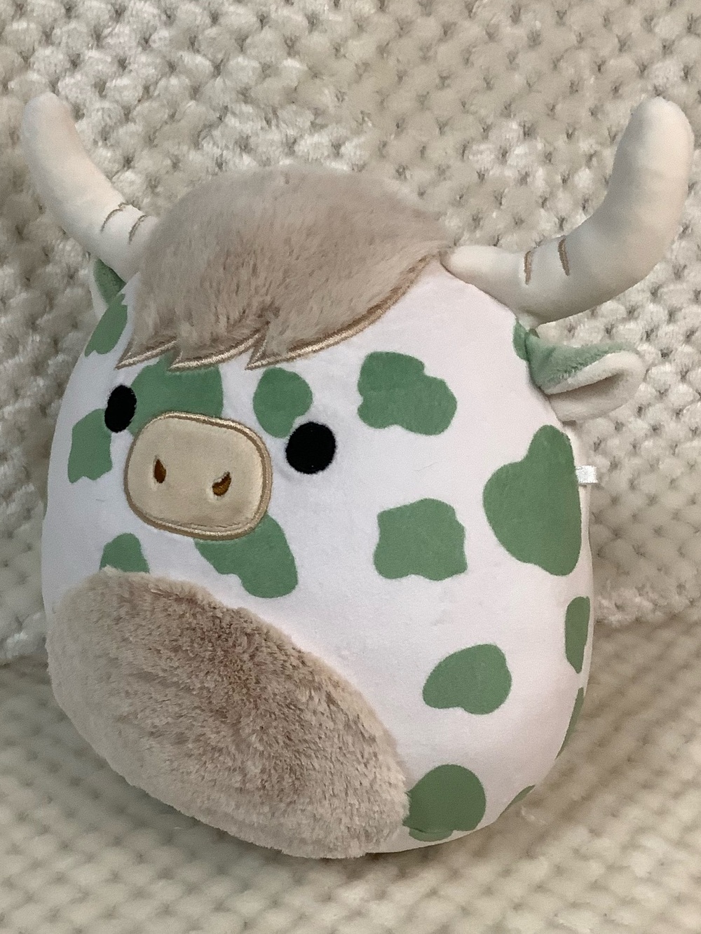 Squishmallows Jazwares Celestino the Sage Green Highland Cow Stuffed Animal Toy